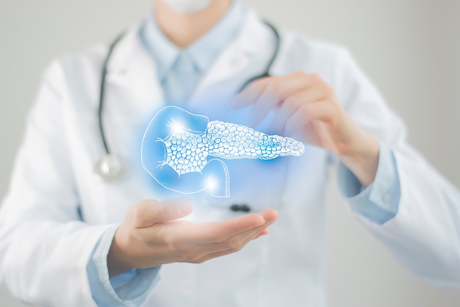 Human pancreas