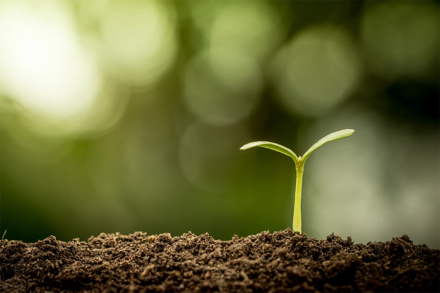 Sustainable Foods Summit 2026: Regenerative agriculture scales amid ...