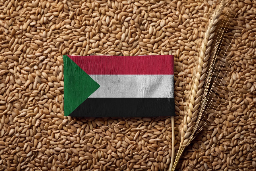 Sudanese flag on a pile of grains