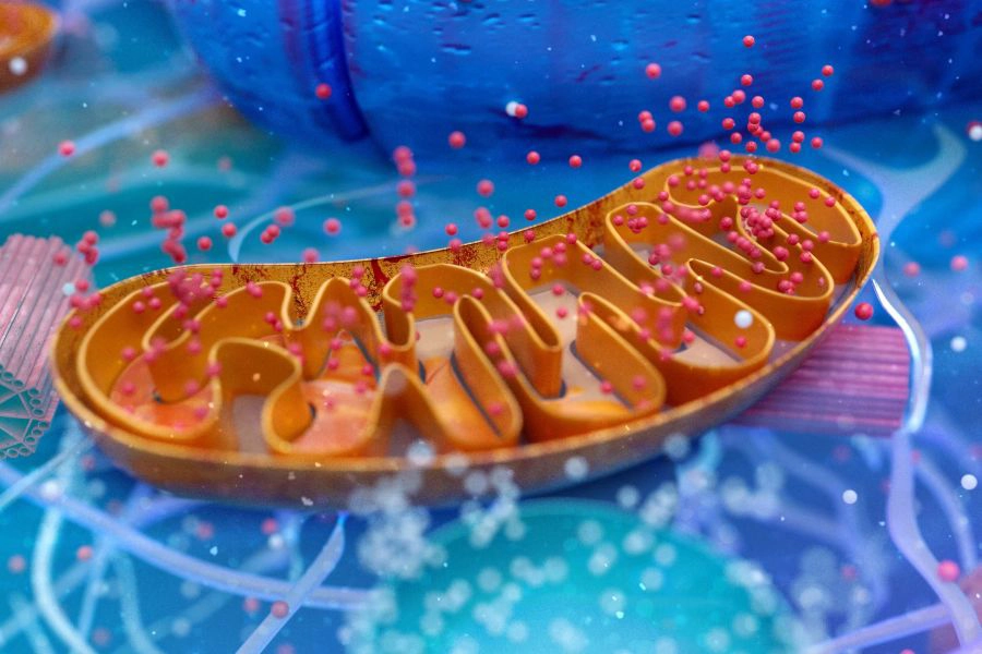 Abstract 3D illustration of the biological cell and the mitochondria