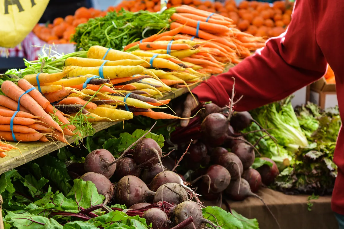 fresh fruit