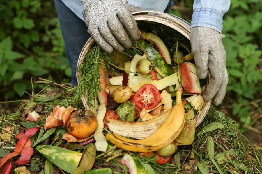 preventing plastic pollution in food waste 