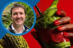 Guillaume Blancher, Kerry Guillaume Blancher, Kerry