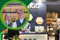 Image Tamara Higgins & Lixin Ding, BGG