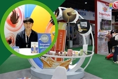 multimedia image