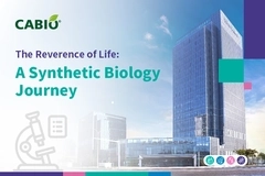 FormattedPicture FormattedPicture