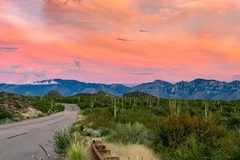 multimedia image multimedia image