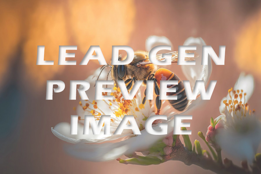 Video Background