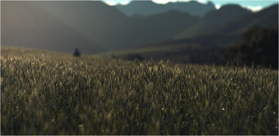 Video Background
